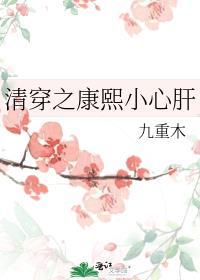 清穿之康熙家的小宠妃良言