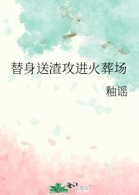 完美婚配TXT笑佳人百度