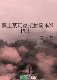禁止某玩家接触副本NPC!作者萝卜海