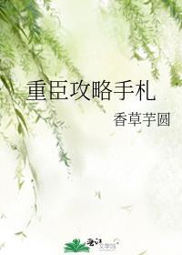 重臣攻略手册加番外