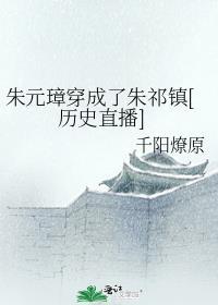 穿成朱元璋的儿子