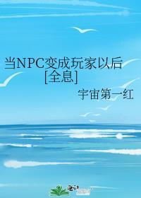 当npc的