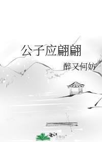 公子应翩翩攻受的cp是谁