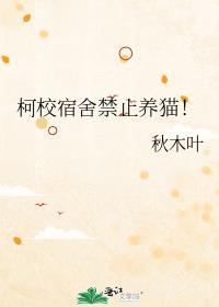 学校寝室不让养猫该怎么养