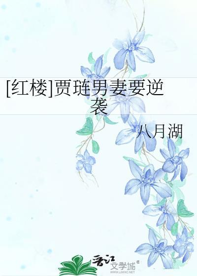 贾琏是好男人吗