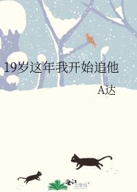 19岁这年我开始追他 A达