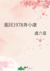 重回1978江小白