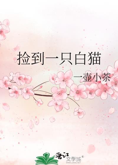 捡了一只白色的猫吉利吗