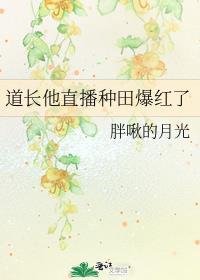 打怪掉落五条猫猫之后 渡淮阳