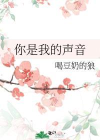 你是我的声音啊Dj歌曲