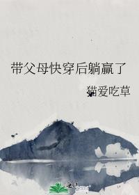 禁止滥用魔法免费阅读