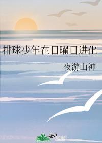 排球少年及日车