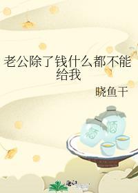 老公除了挣钱家里啥都不管