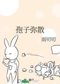 孢子状态