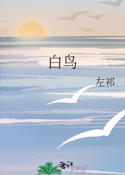 白鸟电影