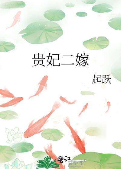 贵妃二嫁阅读