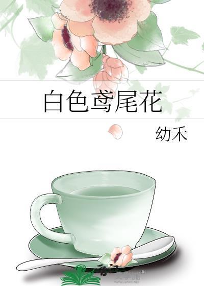 白色鸢尾花