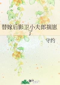 替嫁后影卫小夫郎揣崽了
