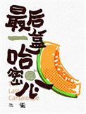 最后一盒哈密瓜